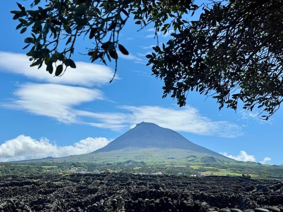 Pico Island Villas Madalena  Eksteriør bilde