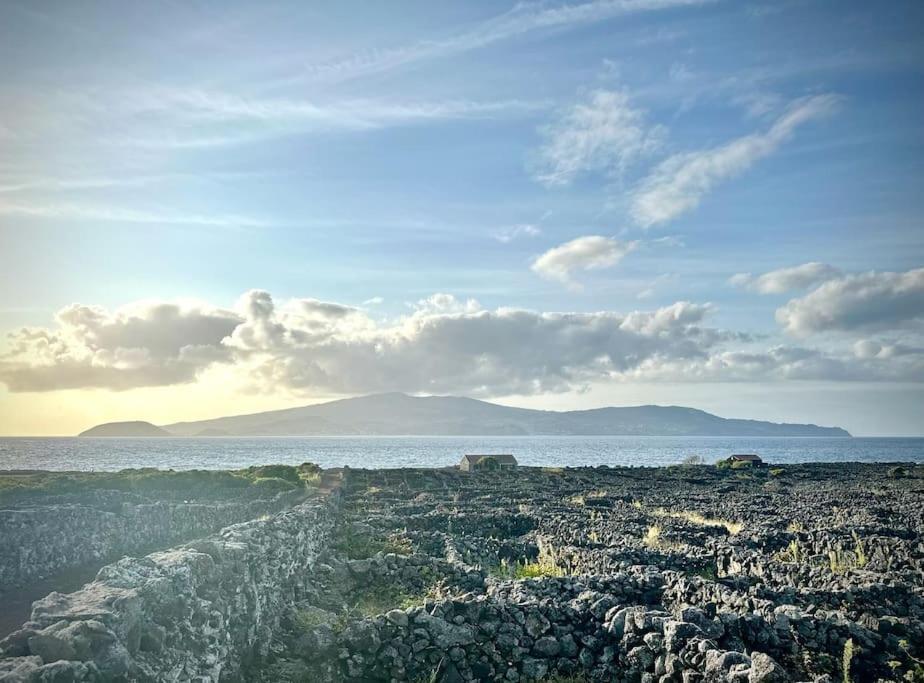 Pico Island Villas Madalena  Eksteriør bilde