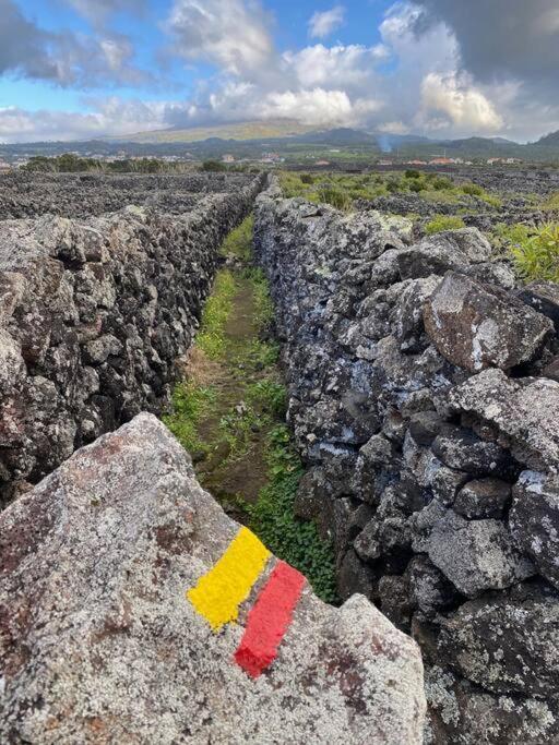 Pico Island Villas Madalena  Eksteriør bilde